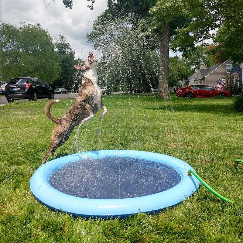 Piscina Inflável para Pets - Bluemart Brasil